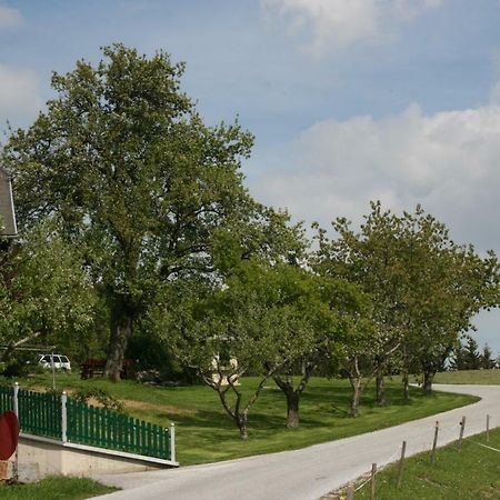 Bauernhof Hoenigshof Fischbach Bagian luar foto