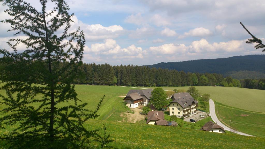 Bauernhof Hoenigshof Fischbach Bagian luar foto