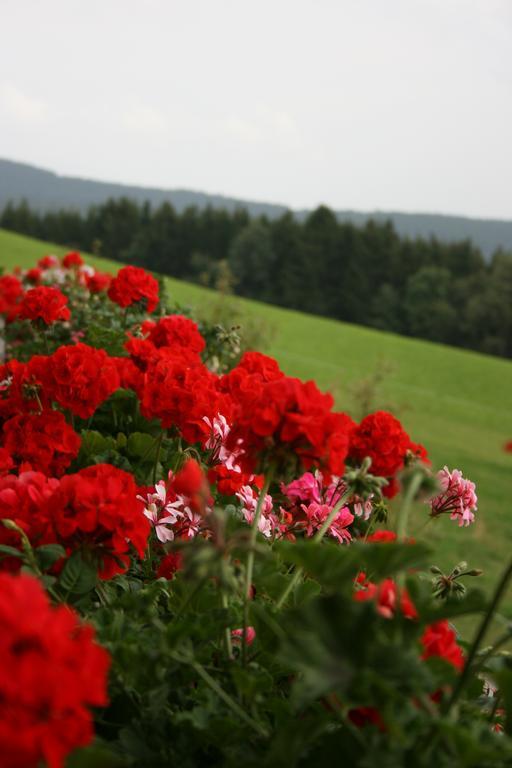 Bauernhof Hoenigshof Fischbach Bagian luar foto