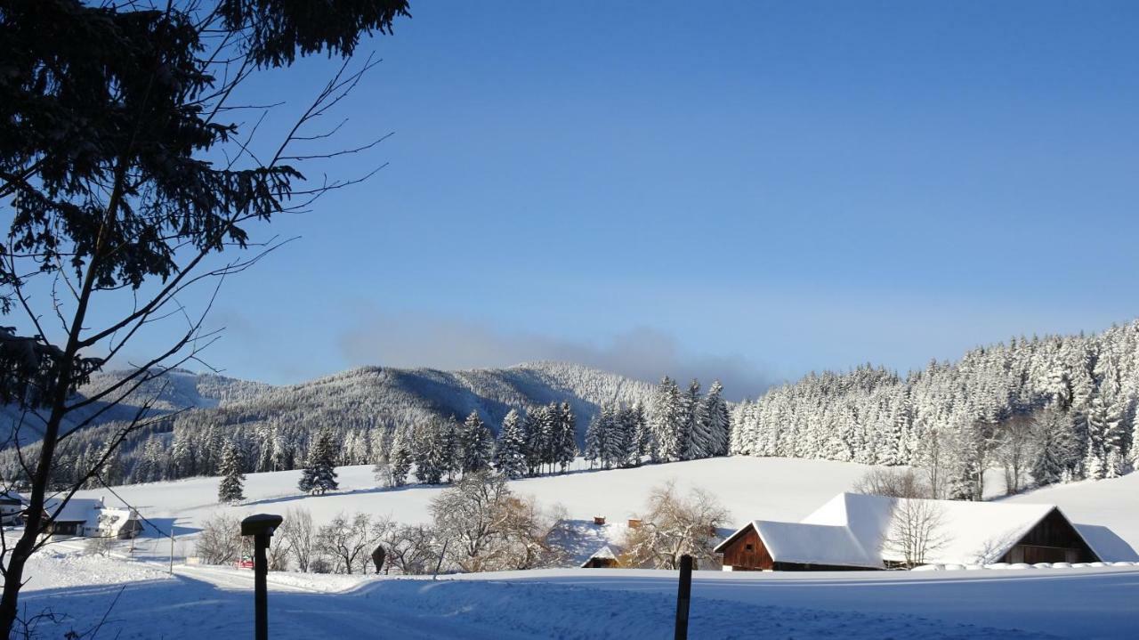 Bauernhof Hoenigshof Fischbach Bagian luar foto