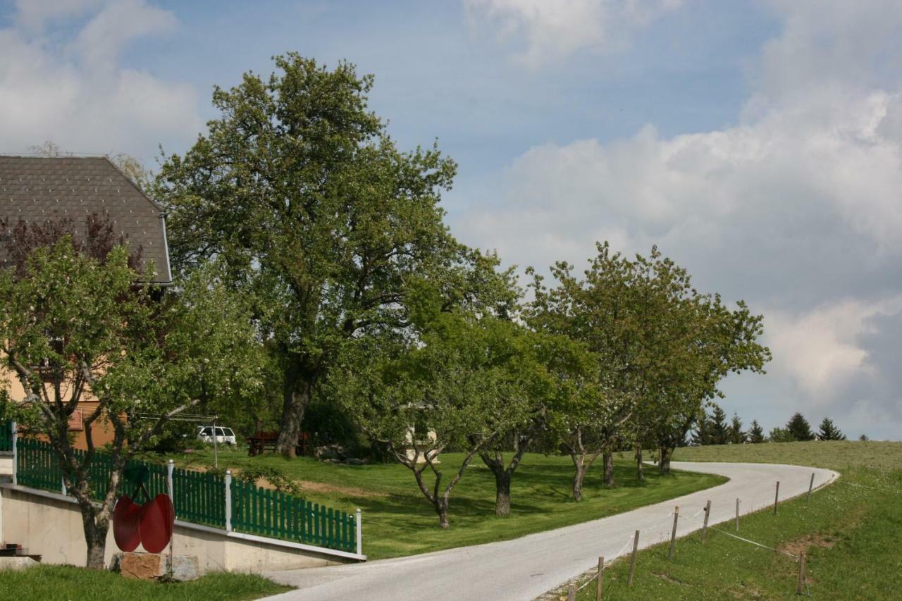 Bauernhof Hoenigshof Fischbach Bagian luar foto