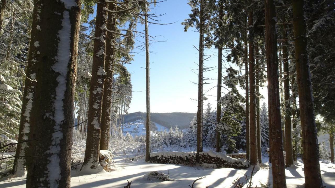 Bauernhof Hoenigshof Fischbach Bagian luar foto